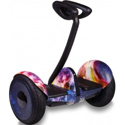 Ninebot Mini 10,5 дюйма оптом