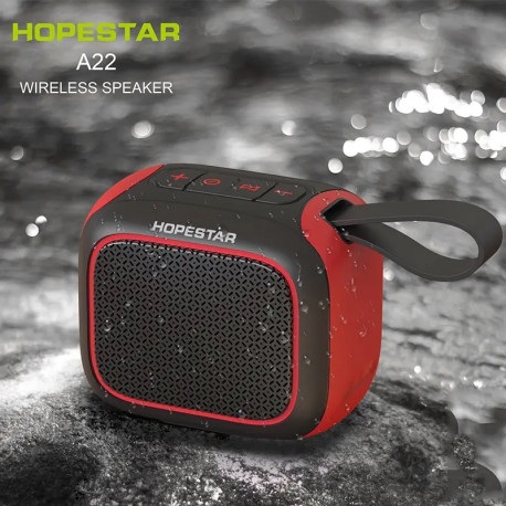Колонка Hopestar A22